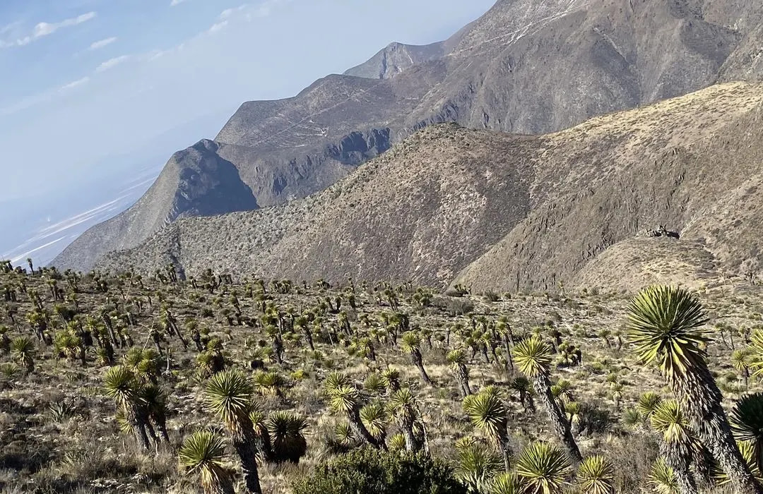Outdoor activities in San Luis Potosí