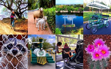 Family activities at Tangamanga