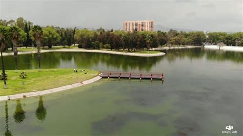 Lake at Tangamanga Park